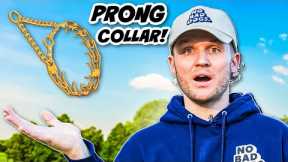 Prong Collar Training Tips