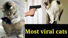 Top 15 Funny funny cats  - Funny snimals / cute animal videos #viral cat #funny dogViral dogs#2023