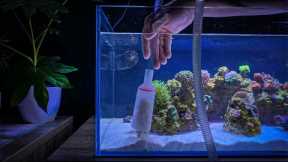 How I Clean my Aquarium 🧼