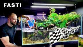 *FAST* FISH ADDED to RIVER AQUARIUM!! CRAZY SCHOOLING BEHAVIOUR || MD FISH TANKS