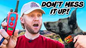 E Collar Training For BEGINNERS