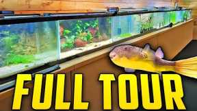 Real Life Updates On Every Aquarium in the Fish Room