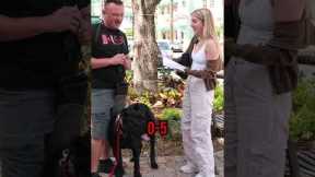 Asking Strangers if They Can Pronounce These Dog Breeds