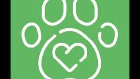 FREE DOG TRAINING TIPS | Confidence Building | Puppy Training | Dog Trainers in Maine
