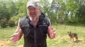Dog training rant in response to heated Facebook post