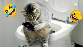 Best Funny Dogs And Cats Videos 😆 Funniest Animals Videos 2023😂 #57