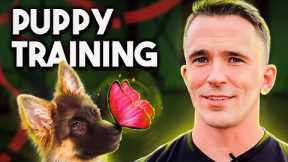 PUPPY TRAINING 101: Everything You Need to Know