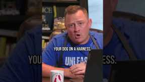 How to Break Up a Dog Fight