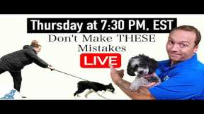 5 COMMON Training Mistakes That New Dog Owners Make!