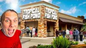 The Most Famous Reptile Pet Shop