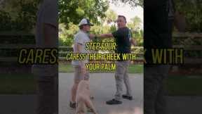 STOP Baby Talking Strangers’ Dogs!