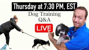 The 9 Dog Training Mistakes You NEED To Avoid!