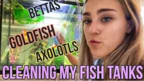 CLEANING MY FISH TANKS: How I Maintain Freshwater Aquariums