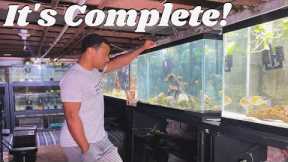 UPGRADING MY AQUARIUM WITH NEW FISH & AQUASCAPE + FISH ROOM UPDATE