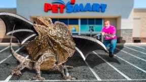 I Brought Dragons To PetSmart!