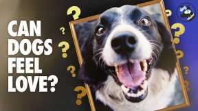 The Science of Love: Dogs, Us, and Oxytocin