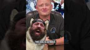 This Dog Trainer Knows How to Handle Business