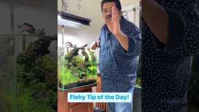 Beginner FISH KEEPING TIP 1 | Mayur Dev Aquascaper | Best tips for All Aquarium Fish