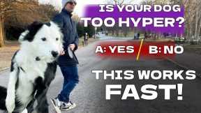 No Corrections Necessary: How To Easily Stop Barking, Jumping and Boisterous Behavior!