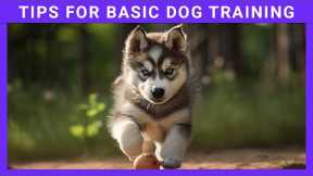 dog training basics