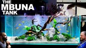 The Mbuna Tank: EPIC 4ft FIRST TIME Aquarium (Aquascape Tutorial)