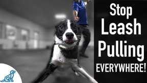 How To Teach Your Dog Not To Pull On The Leash, EVER!