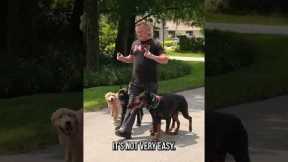 DON’T TRY THIS AT HOME: The Quadruple Dog Heel