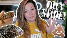 My Top 5 Stinkiest Pet Reptiles!