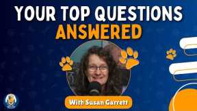 AMA: Aggression? Agility? This!? Belief? Routine? Dog Training? And More Questions Answered #223