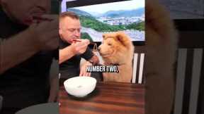 Top 3 Breeds Dog Groomers WOULDN’T Recommend