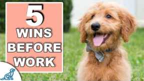 Your 10 Minute Morning Puppy Training Plan