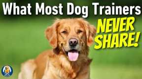 Empowering The Next Generation Of Dog Lovers: Finya's School Assignment #231 #podcast