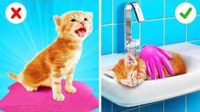 Save This Tiny Cat | Secret Hacks for Pet Owners!