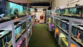 THIS FISH STORE BEEN SELLING FISH FOR 100 YEARS! *Tour*