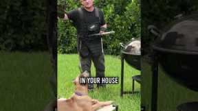 Grilling Safety for Your Pup This Labor Day