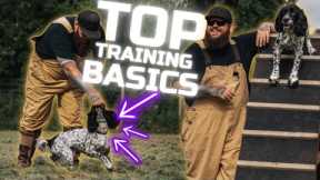 5 Dog Training Basics You Need For You And Your Dog