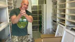 EXPORTING REPTILES | HOW DO WE DO IT?