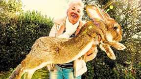Is it LEGAL to Own these exotic PETS?