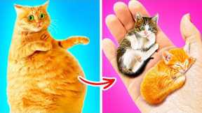 I FOUND A PREGNANT CAT 🙀 *Build a Secret Room For Kittens with Gadgets*