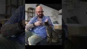 THIS is how you clicker train a cat! #shorts