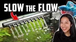 How to Slow Aquarium Water Flow for Betta Fish & Baby Fry