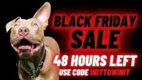 How to Choose the BEST Training for Your Dog Or Puppy!  Live Deep Dive on All Options