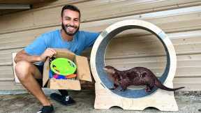 GIANT Hamster Wheel for OTTERS!