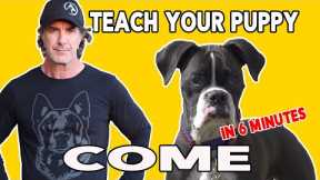 How to teach Your PUPPY to COME When Called - Best Puppy Training