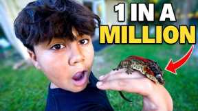 Touring The RAREST REPTILE COLLECTION In The WORLD!