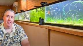 Moving Tons of Fish & Adding New Rare Species (Fish Room Update)