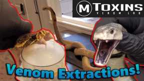 Touring MToxins- Wisconsin's Venom Lab!