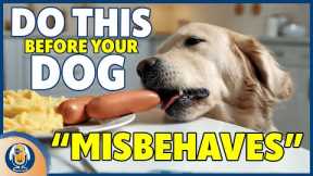 Make Dog Training Easy! Quick Guide To Antecedent Arrangements #245 #podcast