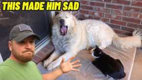 THEY'RE COMING TO TAKE OUR GIANT DOG GUARD MOJO FROM THE FARM!