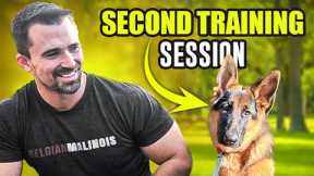 Elevate Your Dog Training with Effective Engagement Strategies